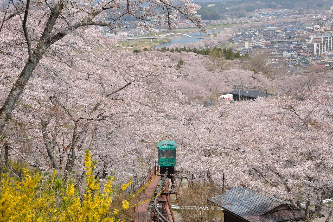 船岡城址公園の桜 スロープカー はなみちゃん モデル工房タイガーハウス ブログ レプリカ フィギュア 船岡城址公園の桜 スロープカー はなみちゃん モデル工房タイガーハウス ブログ レプリカ フィギュア