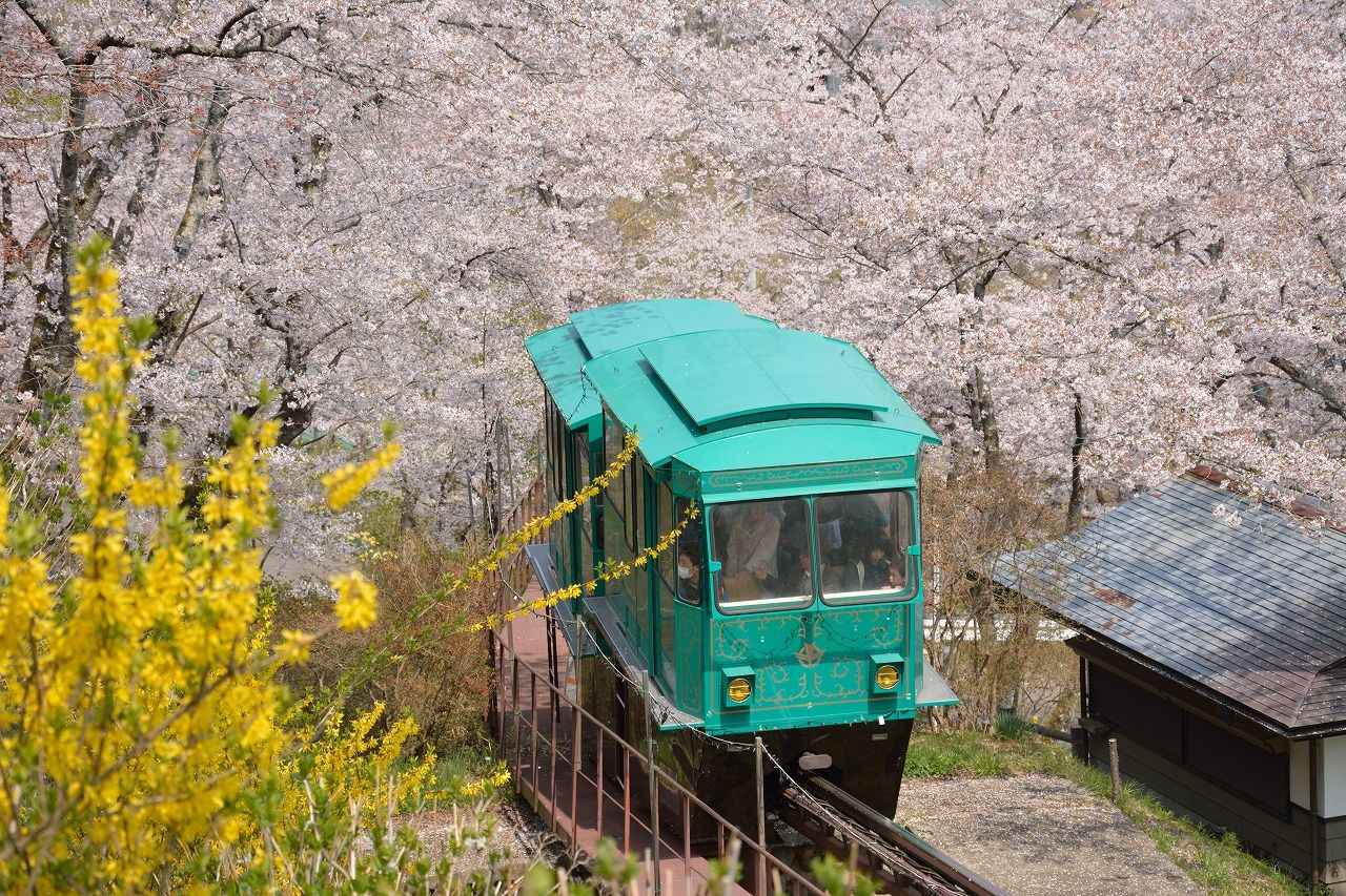 船岡城址公園の桜 スロープカー はなみちゃん モデル工房タイガーハウス ブログ レプリカ フィギュア 船岡城址公園の桜 スロープカー はなみちゃん モデル工房タイガーハウス ブログ レプリカ フィギュア