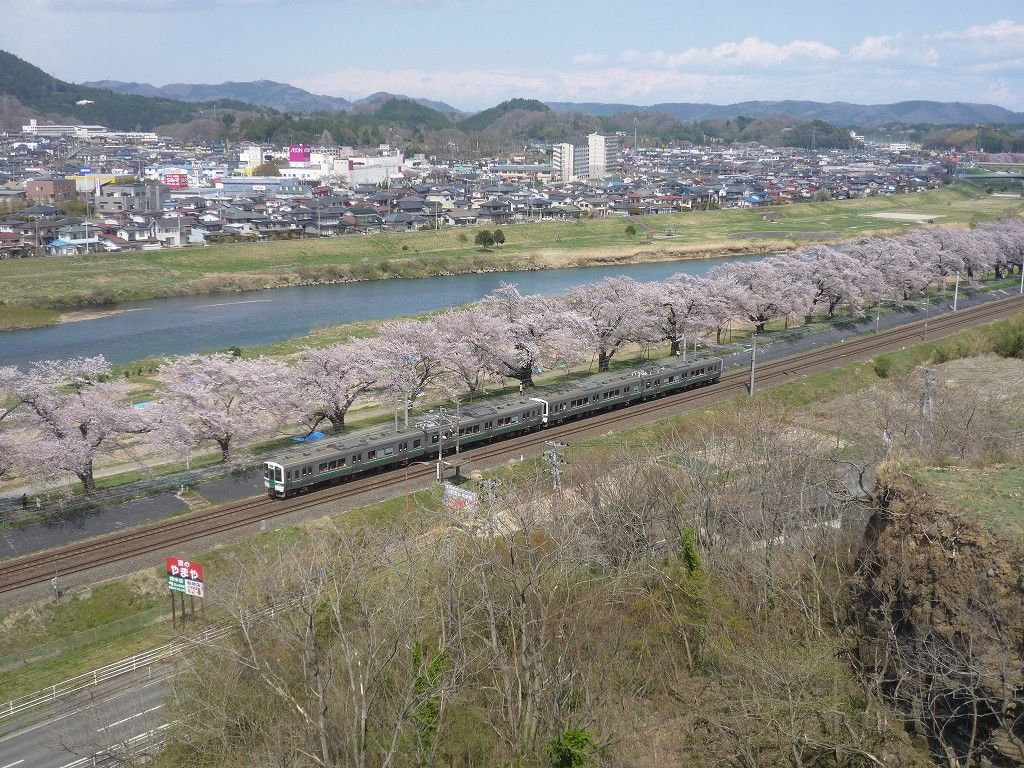 柴田町船岡の一目千本桜 モデル工房タイガーハウス ブログ レプリカ フィギュア 柴田町船岡の一目千本桜 モデル工房タイガーハウス ブログ レプリカ フィギュア