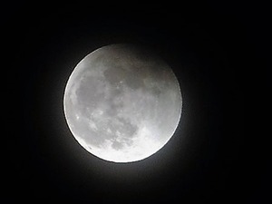 月食21.11.19 (4)