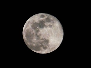 満月 25.01.14