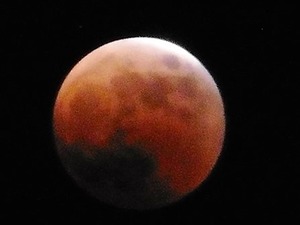皆既月食22.11 (5)