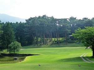 白水GC