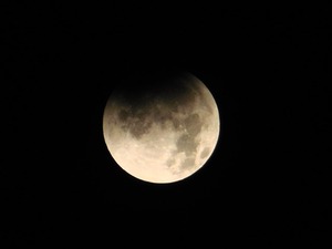 皆既月食 25.09.08 (2)