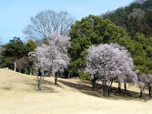 ツインレイクスCC (2)