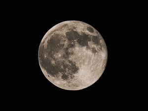 中秋の名月2025 大坂