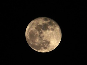 2026.03.04の月