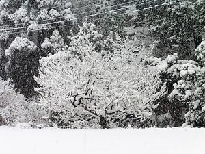 大雪23.02.10