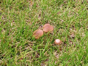 8ec5566d.jpg