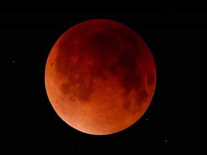 国立天文台から