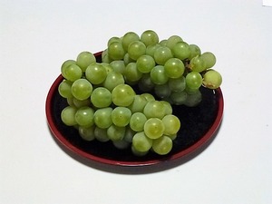 ぶどう