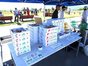 ロガーズカップ2(5)