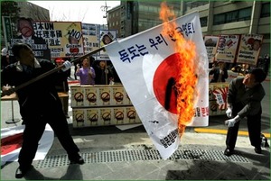 韓国人の日の丸毀損 (1)