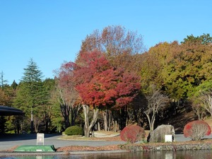 白水GC (3)