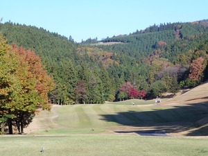 白水GC (2)