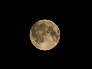 皆既月食 25.09.08 (1)