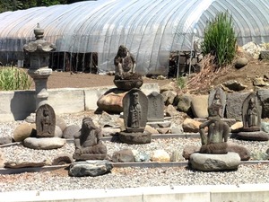 長慶寺 (8)