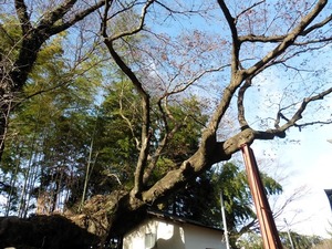 安中熊野神社 (16)