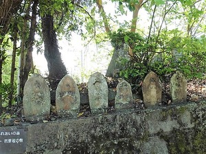 養浩院 (13)