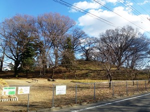 天川二子山古墳 (2)