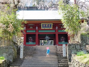 妙義神社 (3)