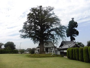 新光寺 (5)