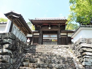 三波川金剛寺 (1)