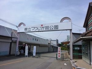 つつじが岡公園 (1)