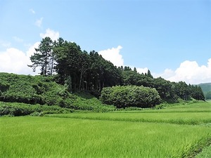 中山城址 (3)