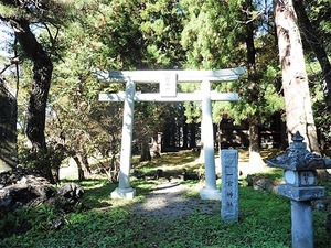 金井一宮神社 (1)