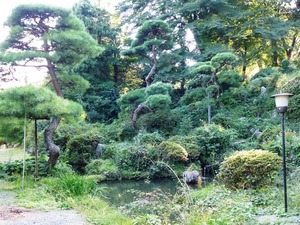 永源寺 (5)