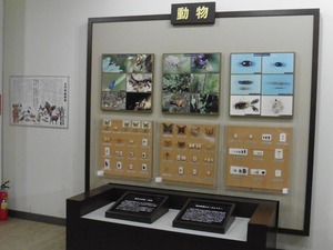 榛名ビジターセンター (5)