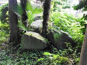 正観寺遺跡群・祭祀巨石 (2)