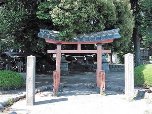 橳島飯玉神社 (2)