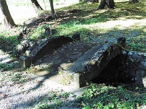 金井一宮神社 (3)