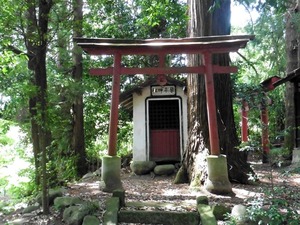 小日向日枝神社 (10)