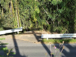 畔宇治神社 (8)