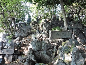 橳島飯玉神社 (6)