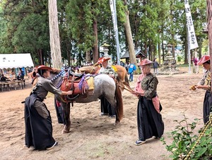 土師神社 流鏑馬 (10)