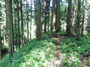 中山城址 (8)