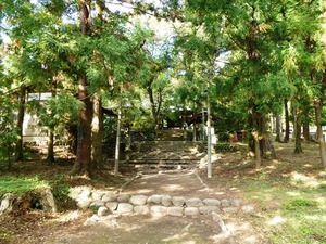 松井田八幡宮 (2)