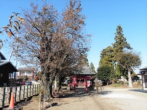 胸形神社 (3)