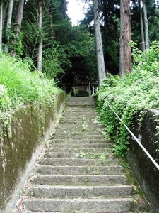 新井諏訪神社 (3)