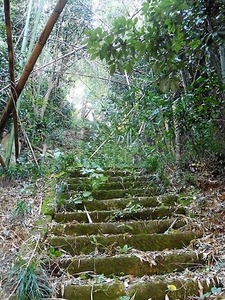 宝珠院 (8)