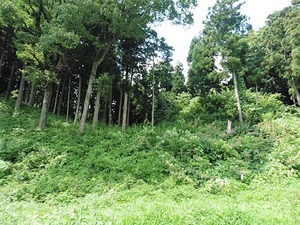 中山城址 (5)