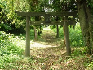 七ツ石雷電神社 (1)