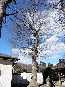 伊勢島神社 (6)