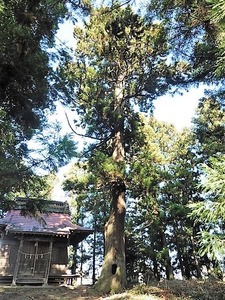 青梨子諏訪神社 (7)