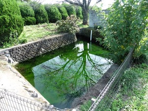 清水湧水地 (1)