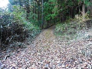 太田神社 (3)